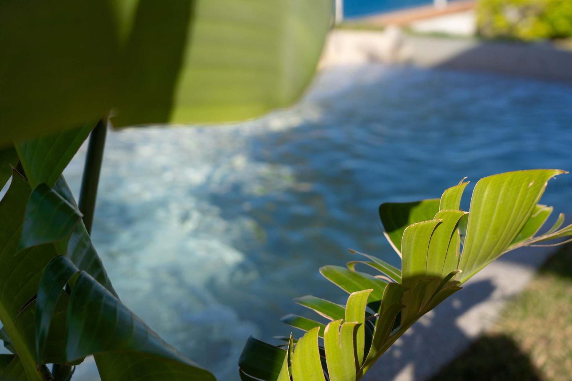 Villa Zagara Garden Spectacular Sea View In 타오르미나 외부 사진